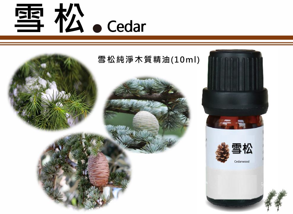 雪松純淨木質精油